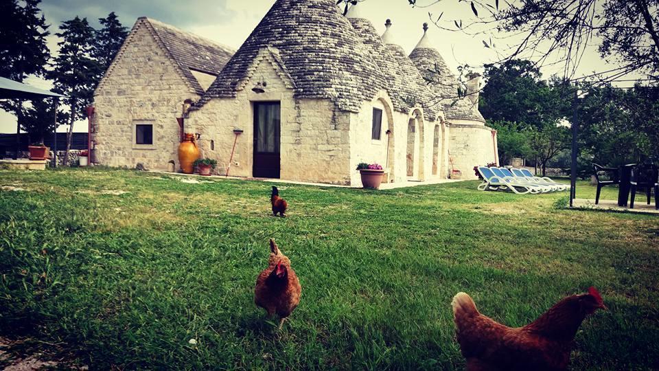 B&B Masseria Nardelli Локоротондо Экстерьер фото
